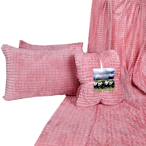 CARESS Plaid 2 places en Velours avec 2 coussins